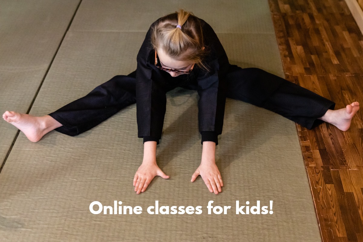 online kids karate Belmont